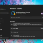 Giao diện cài đặt Windows Update trên Windows 11