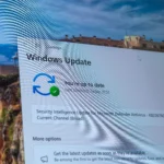 Giao diện trang Windows Update trên Windows 11, minh họa khả năng quản lý cập nhật cho tổ chức