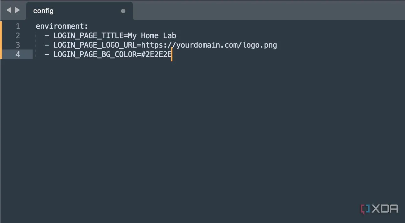 Giao diện tùy chỉnh của Tinyauth, hiển thị các tùy chọn cấu hình đơn giản