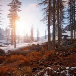 Hình ảnh game sinh tồn Rust với cảnh quan cây cối rộng lớn, thể hiện đồ họa chân thực của game indie