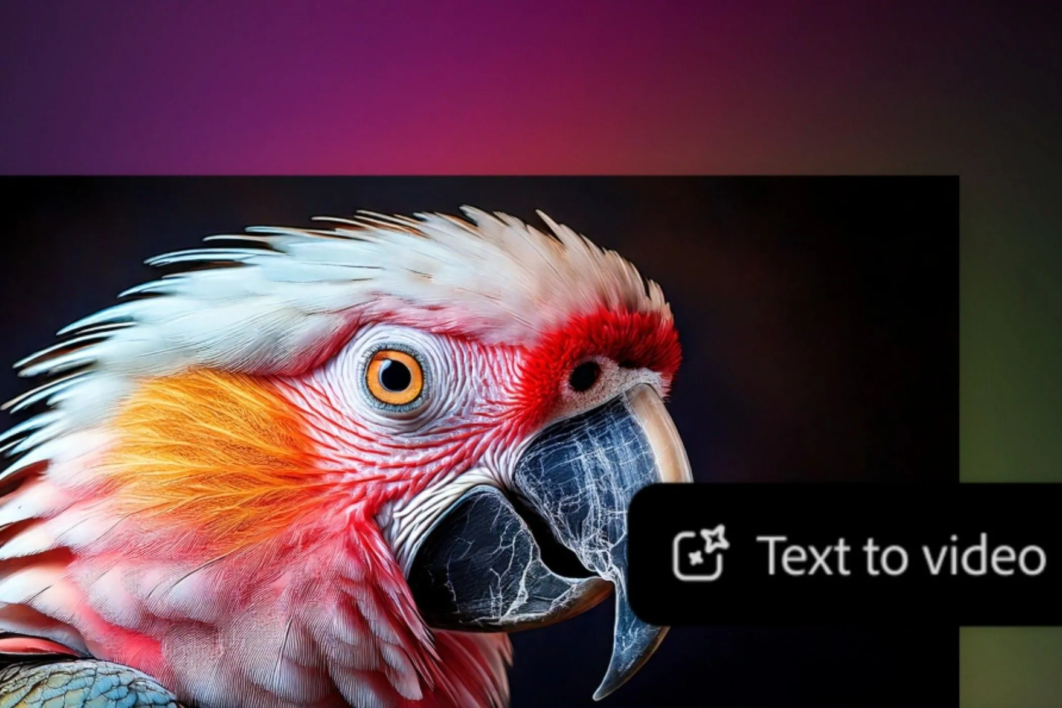 Minh họa video con vẹt được tạo bằng văn bản trên Adobe Firefly, thể hiện khả năng tạo video từ prompt.