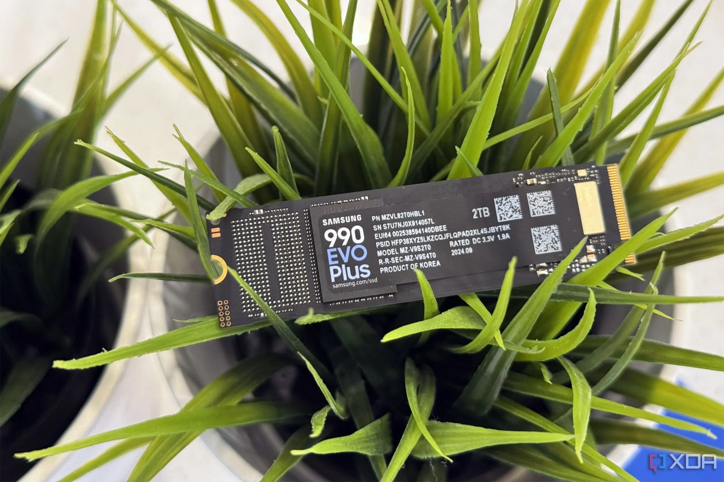 Ổ cứng SSD Samsung 990 Evo Plus trên nền cây cảnh