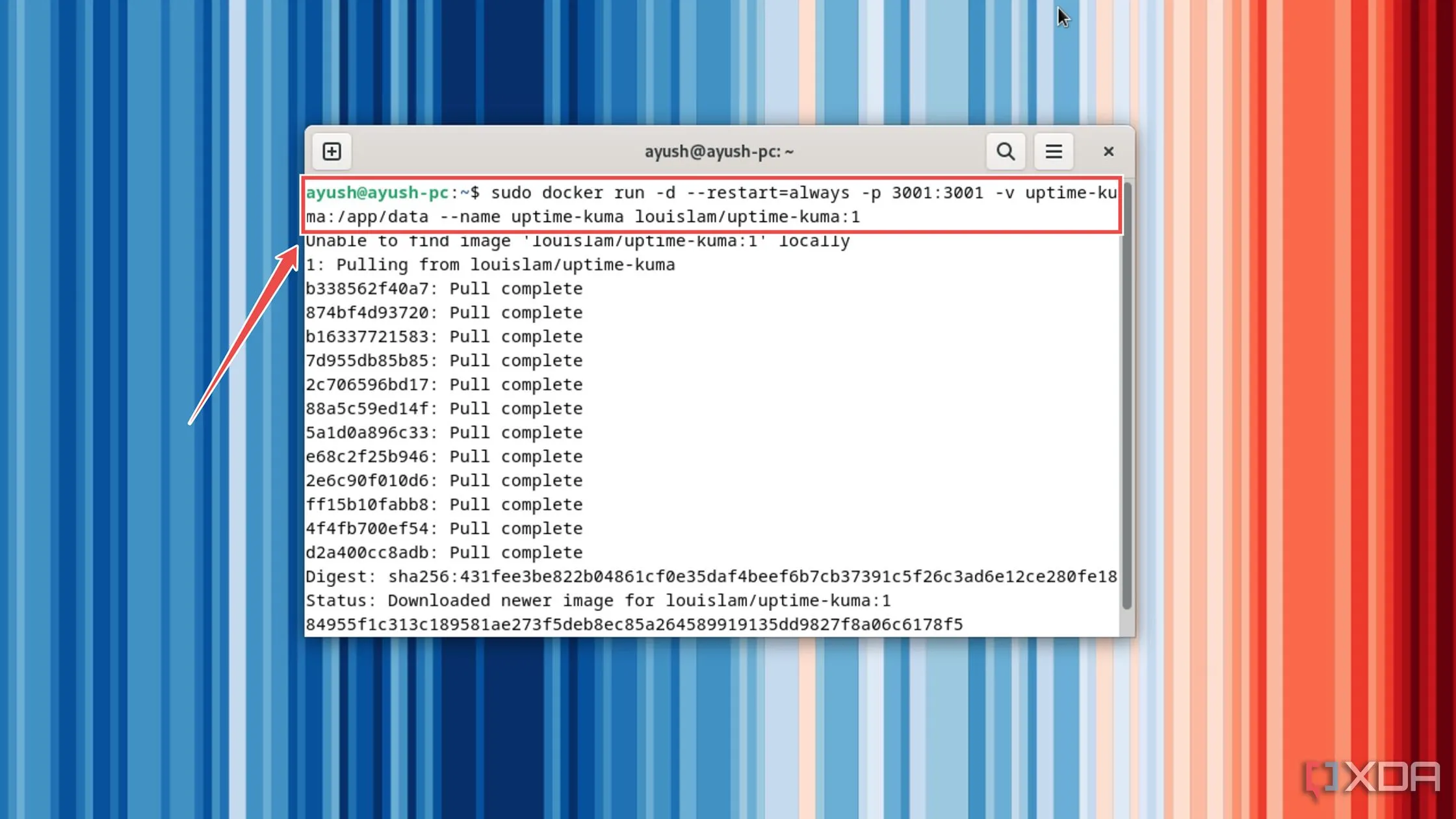 Thực thi lệnh Docker để triển khai máy chủ giám sát Uptime Kuma dưới dạng container.